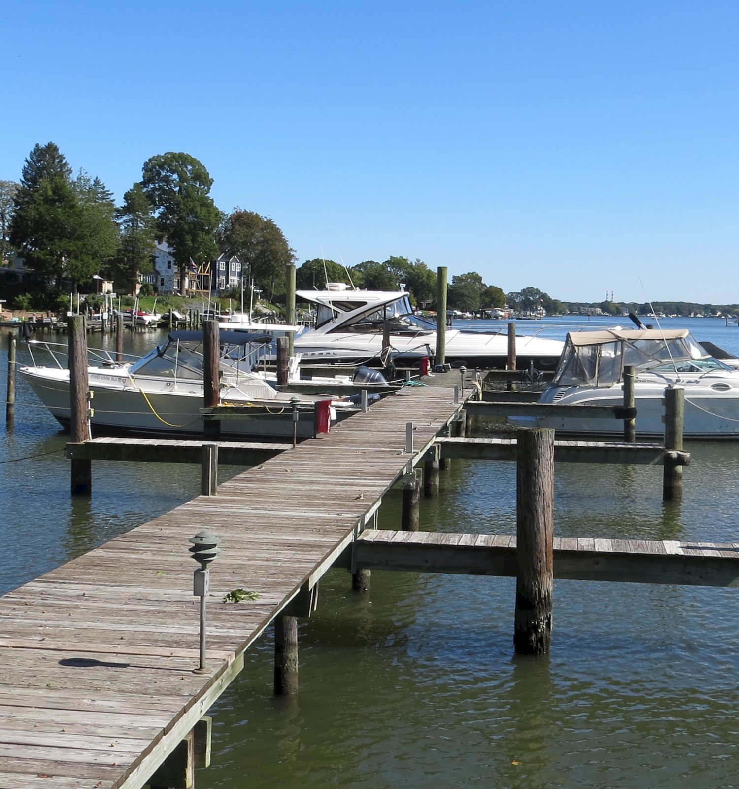 The image shows a wooden dock extending into a calm body of water, with boats tied up along the sides and trees in the background under a clear blue sky.