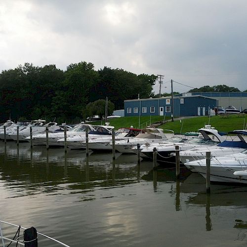 The image shows a marina with several white boats docked along a pier, set against a backdrop of trees and a blue building.