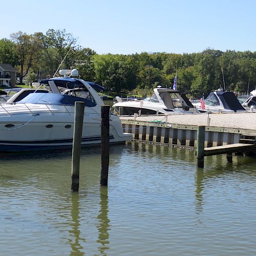 A small marina with several docked boats and a few houses surrounded by greenery in the background under a clear sky.